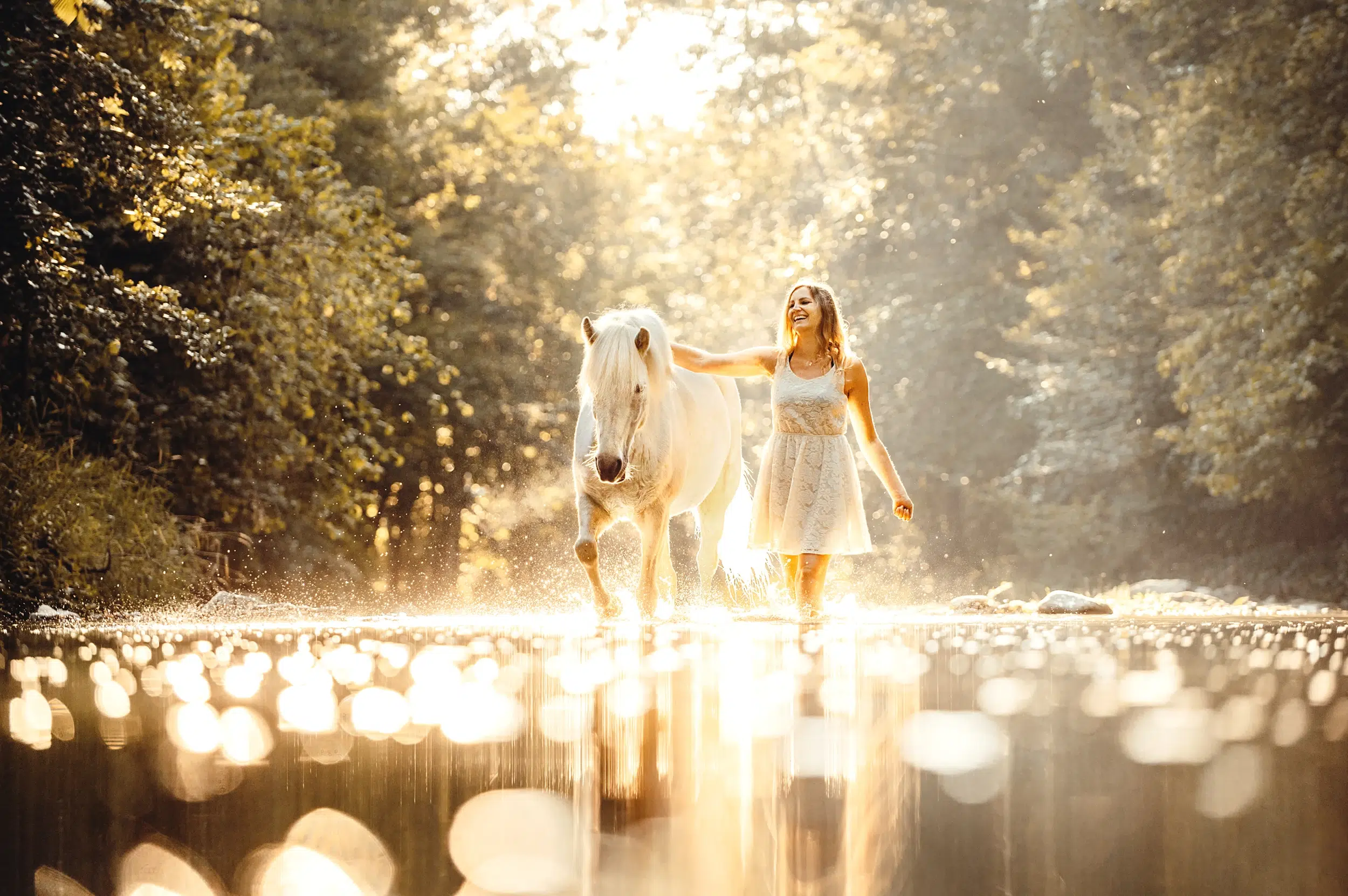 Islaender_Islandpferd_Isi_Stute_Weiss_Schimmel_Bach_Fluss_Wasser_Kleid_Pferdefotografie