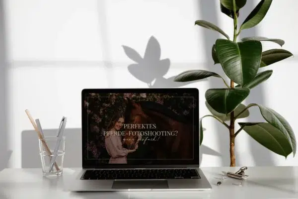 WEBINAR: Perfektes Pferdefotoshooting, ganz einfach