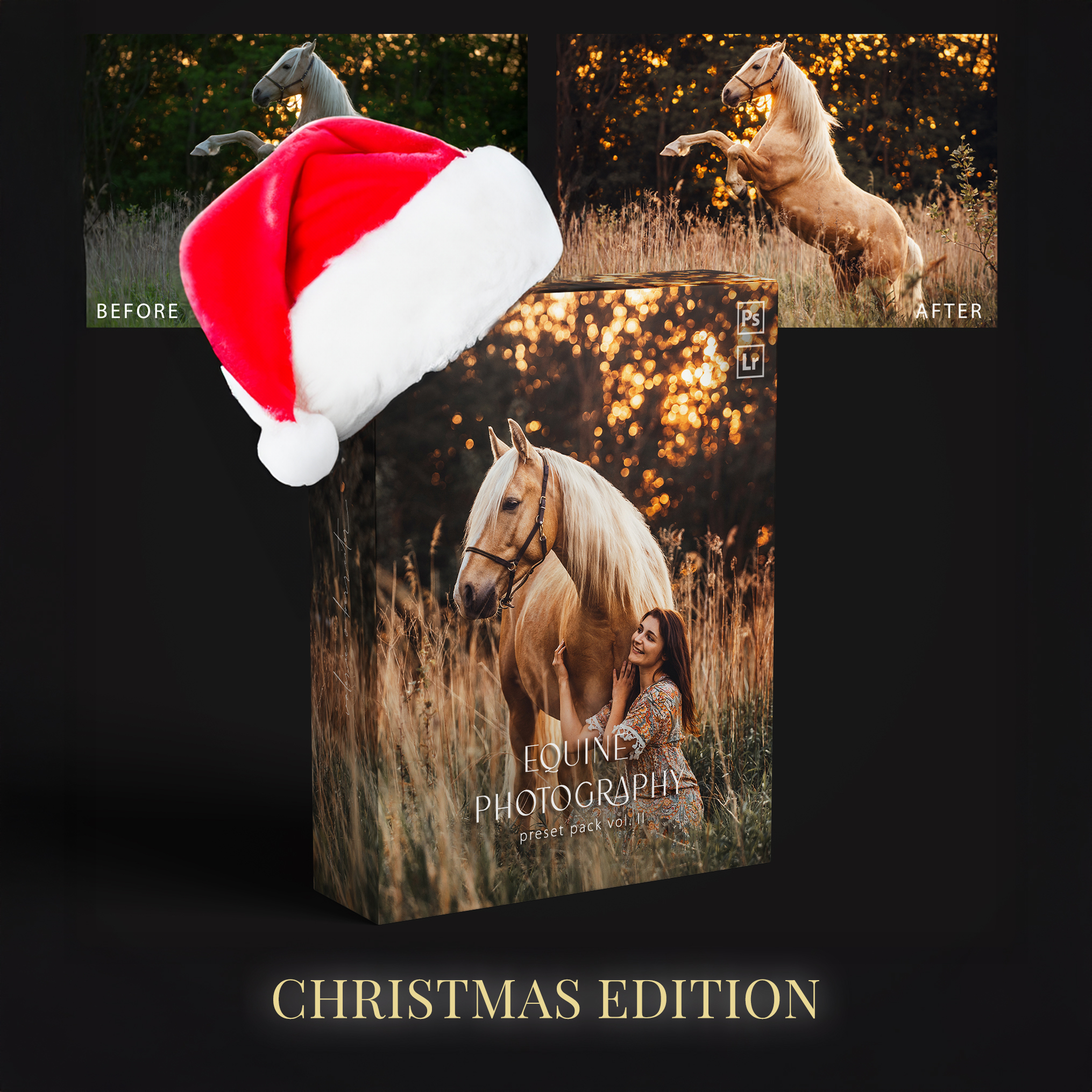 Adventskalender Preset Pack - Valerie Oberreiter x Pilsali Products